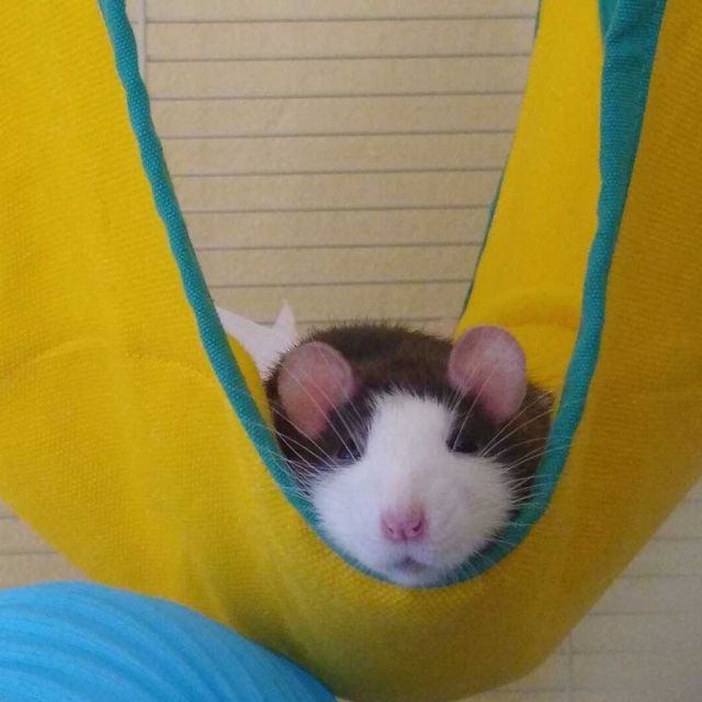 Photo of Olivia Bayer